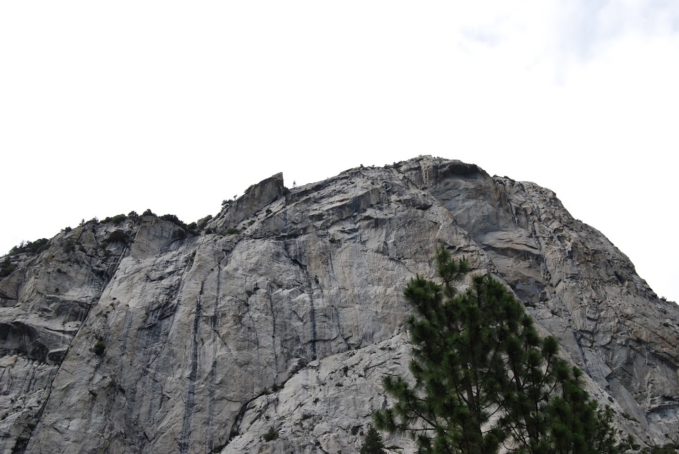 Sequoia-kings canyon 055